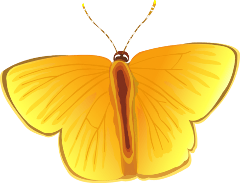 Butterflies, pet food, chicken Vector free png download