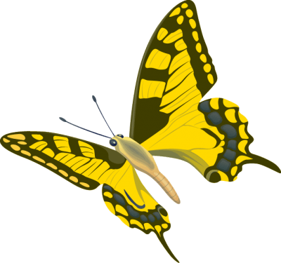 Butterflies, pet food, chicken Vector free png download