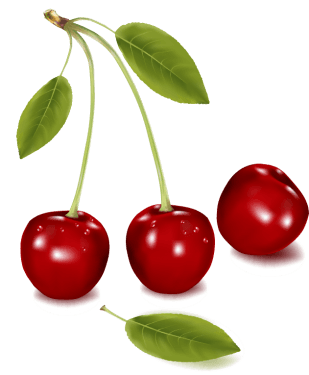 Orange Apple Apricot Cherry Plum Png Images free png download