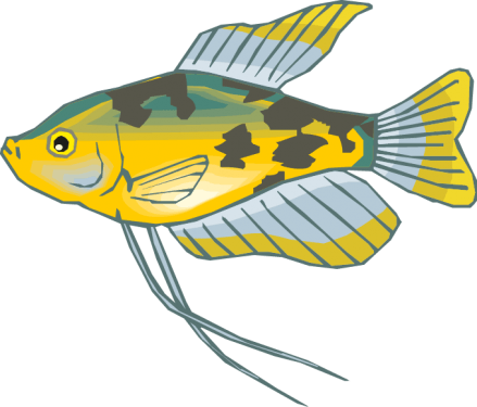 Different Fish Vector Set free png download