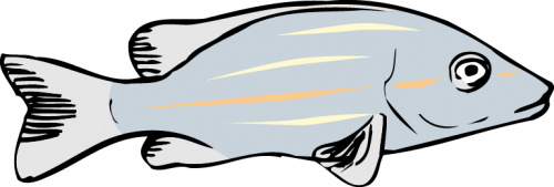 Different Fish Vector Set free png download