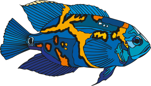 Different Fish Vector Set free png download