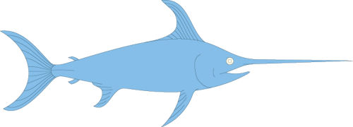 Different Fish Vector Set free png download