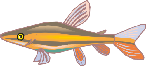 Different Fish Vector Set free png download