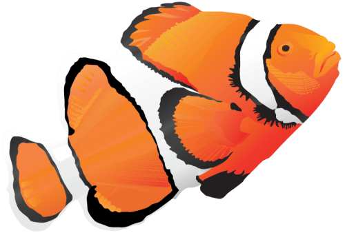 Fish Vector Pack free png download