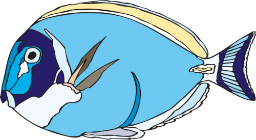 Different Fish Vector Set free png download