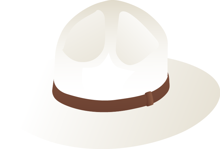 Various hats vector objects free png download