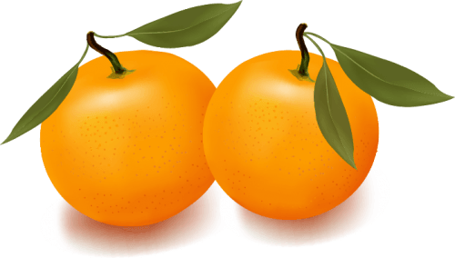 Orange Apple Apricot Cherry Plum Png Images free png download