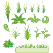 Bamboo and Grass Plant Vector 01