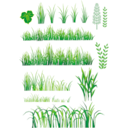 Bamboo and Grass Plant Vector 04