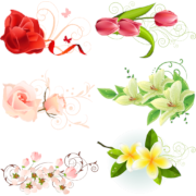 Flowers Vectors
