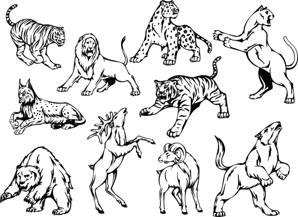 Line art animal 01 free png download