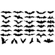 Bat silhouette