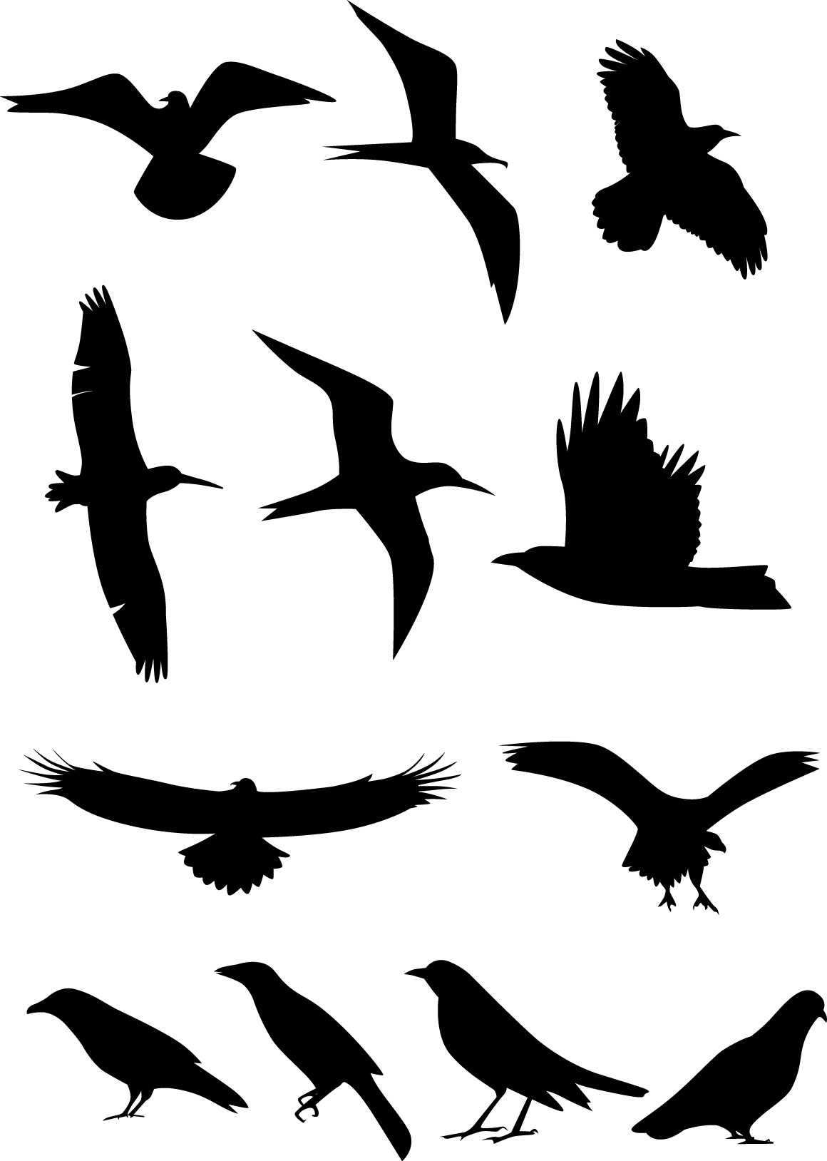 Bird silhouette free png download