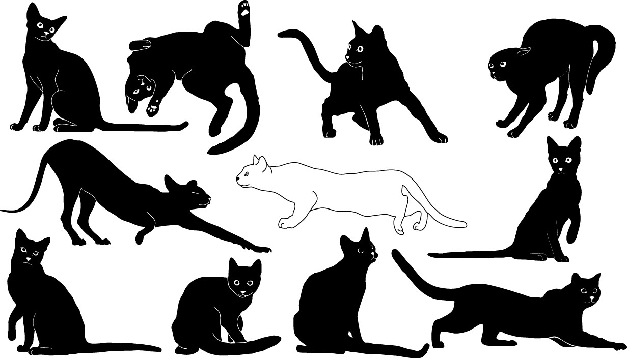 Cats silhouette free png download
