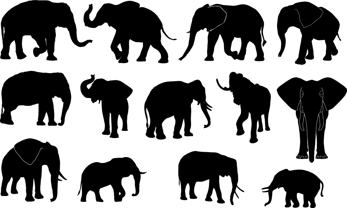 Elephant silhouettes free png download