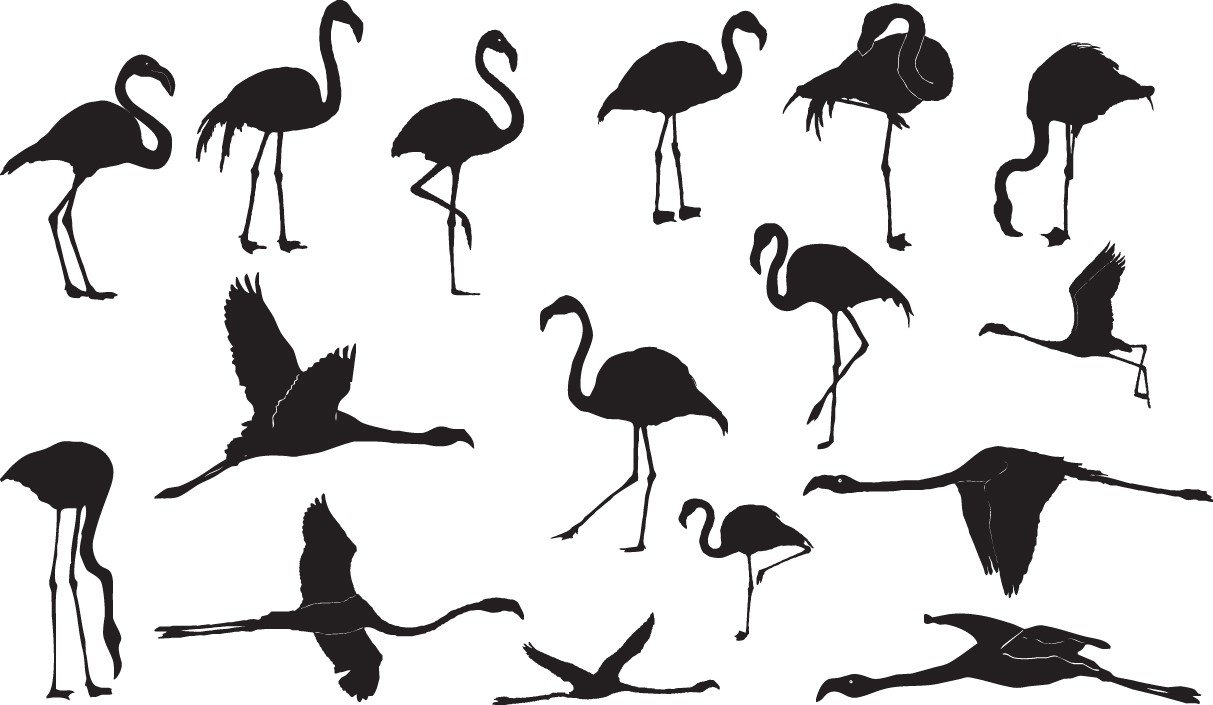 Flamingo silhouettes free png download
