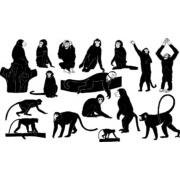 Monkey silhouettes (29368)