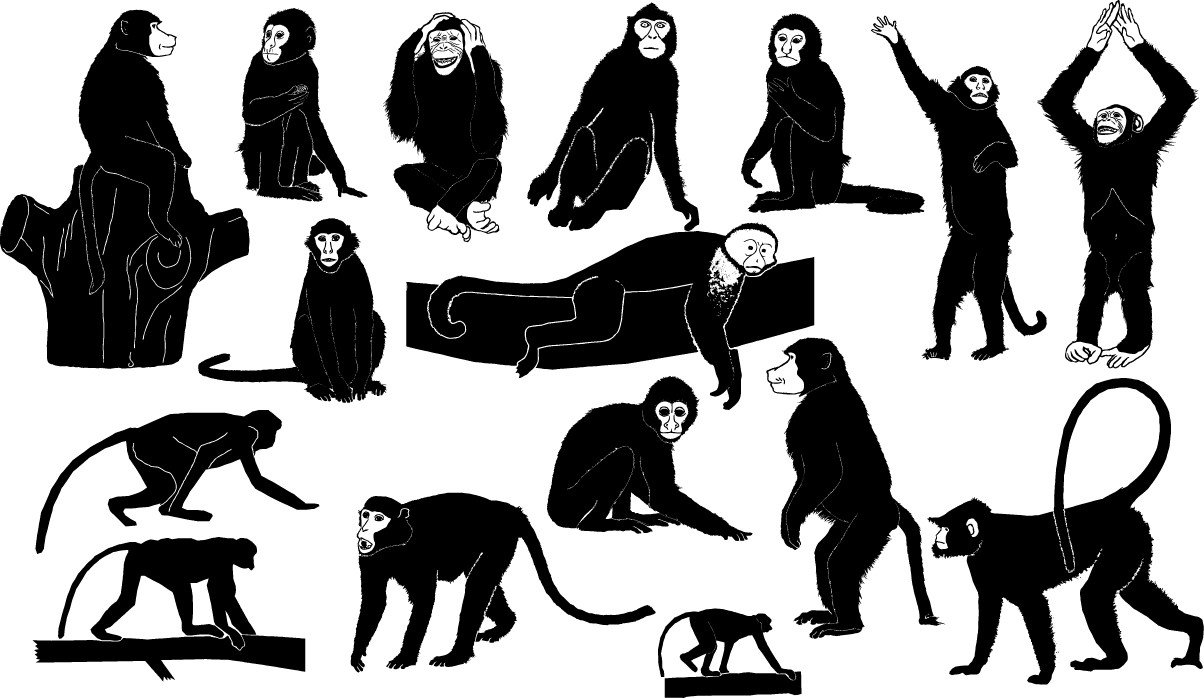 Monkey silhouettes (29368) free png download