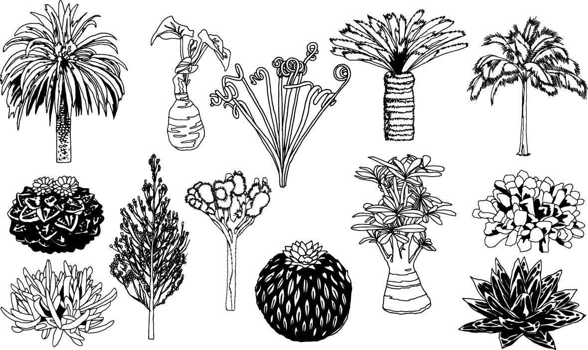 Plants silhouettes free png download