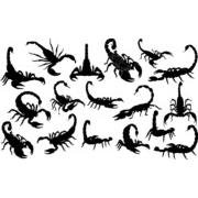 Scorpion silhouettes