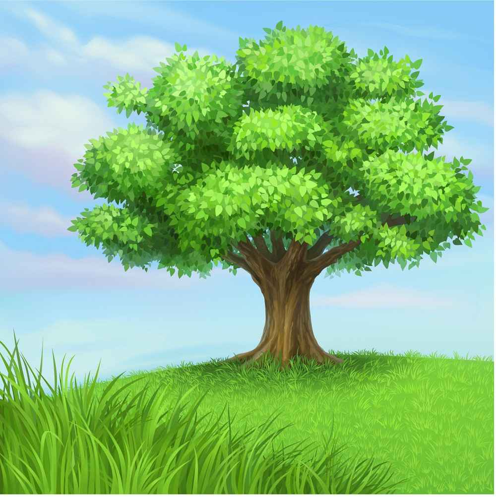 Tree free png download