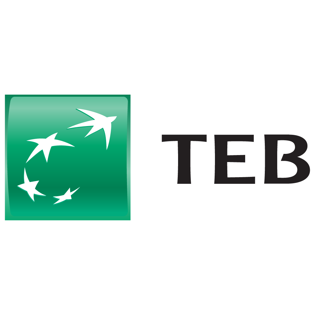TEB Logo   Turkish Economy Bank png