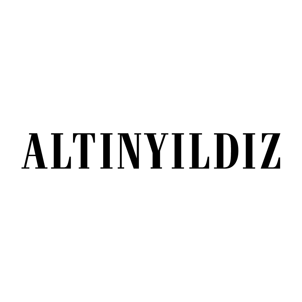 Altınyıldız Logo png