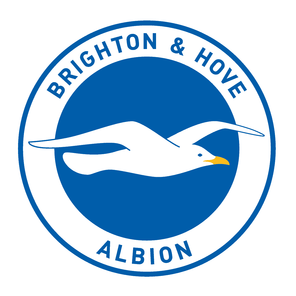 Brighton & Hove Albion Logo png