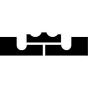 Lebron James Logo