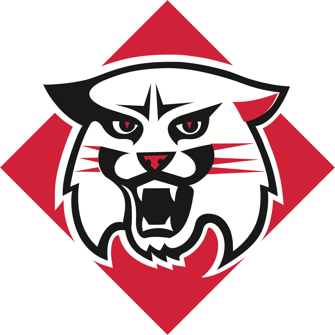 Davidson Wildcats Logo free png download