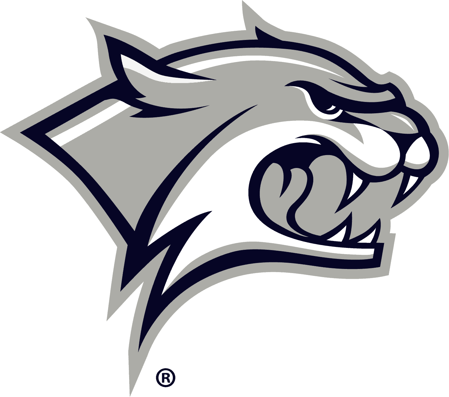New Hampshire Wildcats Logo (UNH) free png download