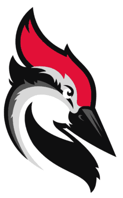Woodpecker Logo png