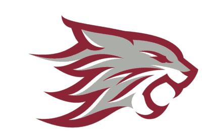 Chico State Wildcats Logo png