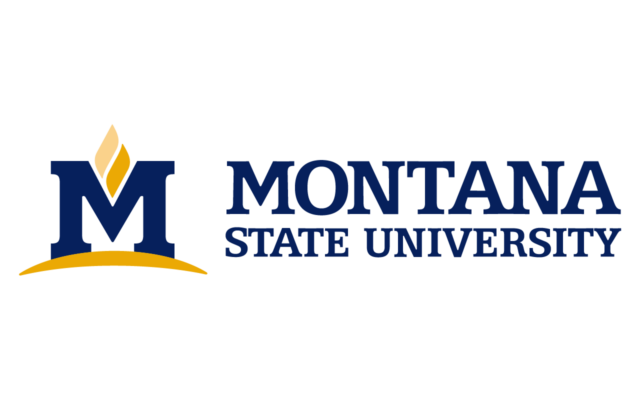 Montana State University Logo (MSU | 01) free png download