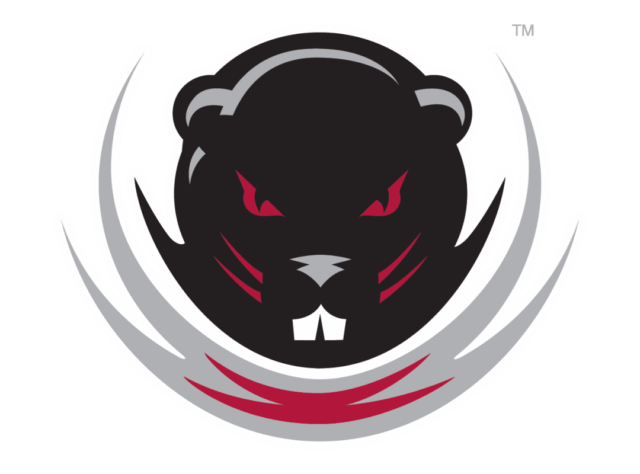 MIT Engineers Logo free png download