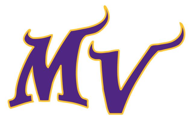 Minnesota Vikings Logo | 01 free png download